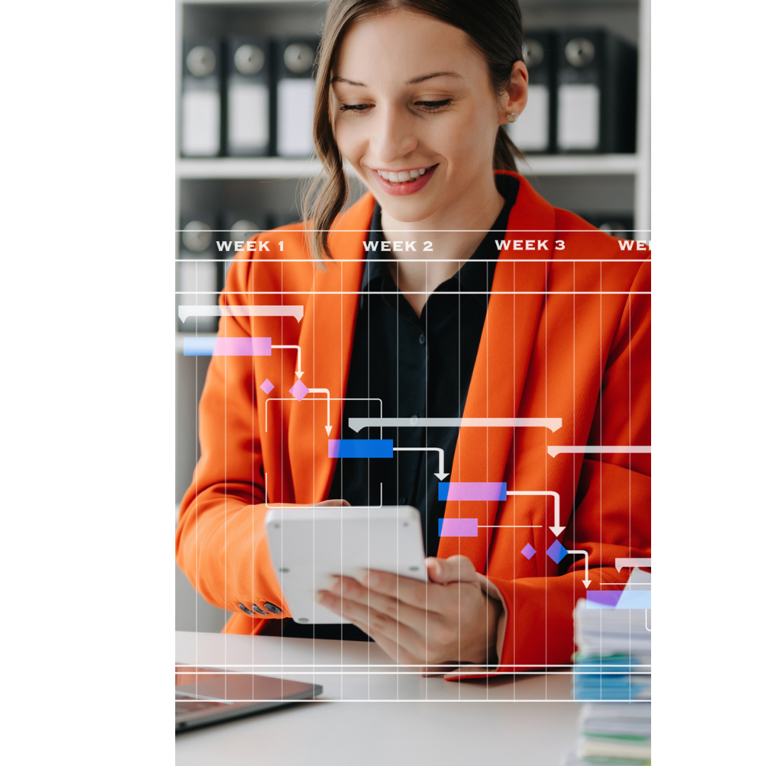 Website Management